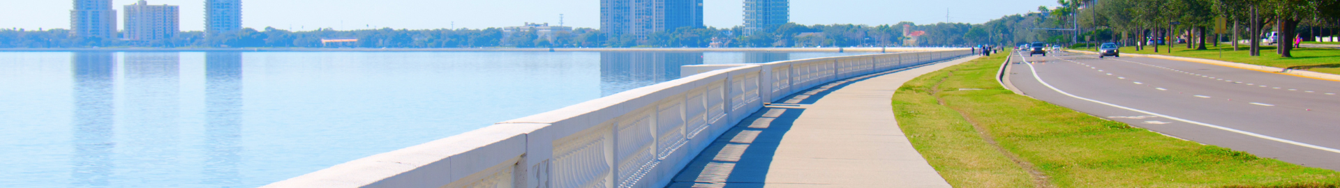 Bayshore Boulevard in South Tampa with waterfront views along Tampa Bay and palm-lined sidewalk