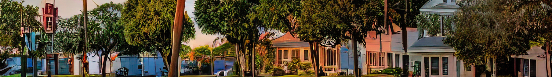 Hyde Park Tampa neighborhood with historic homes, tree-lined streets, and walkable South Tampa setting
