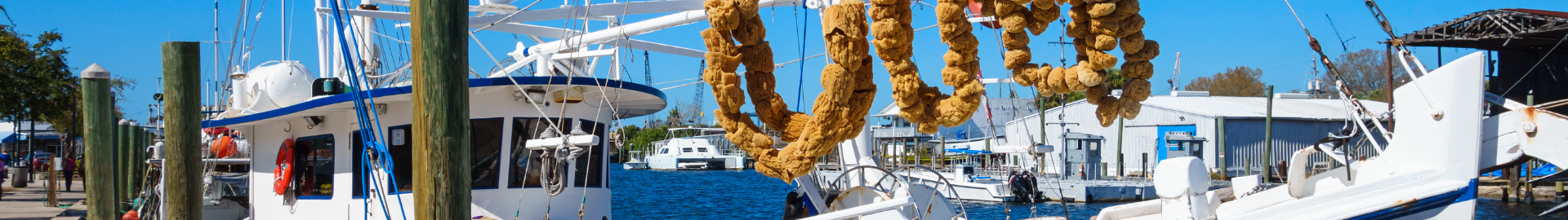 Tarpon Springs, Florida historic waterfront city known for its sponge docks, Greek heritage, marinas, parks, local shops, restaurants, and vibrant Gulf Coast community in Pinellas County.