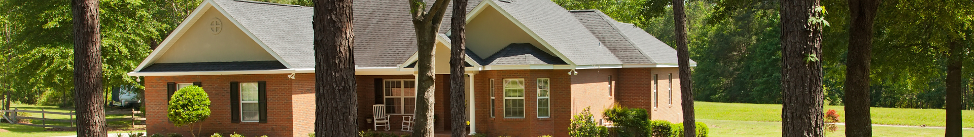 Residential neighborhood in Valrico, Florida, with tree-lined streets