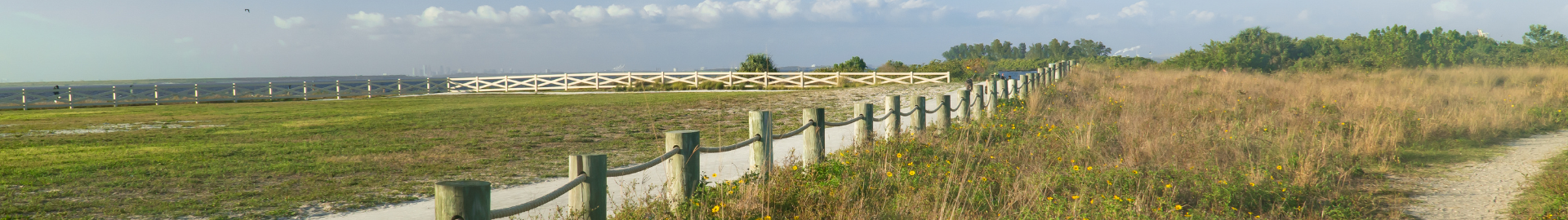 Apollo Beach Florida waterfront community with coastal homes, palm trees, and Tampa Bay views