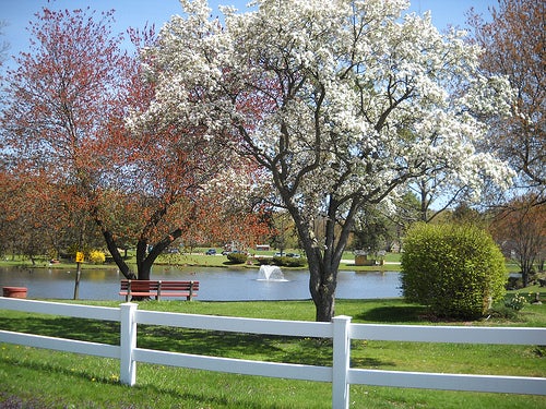 East Longmeadow, MA