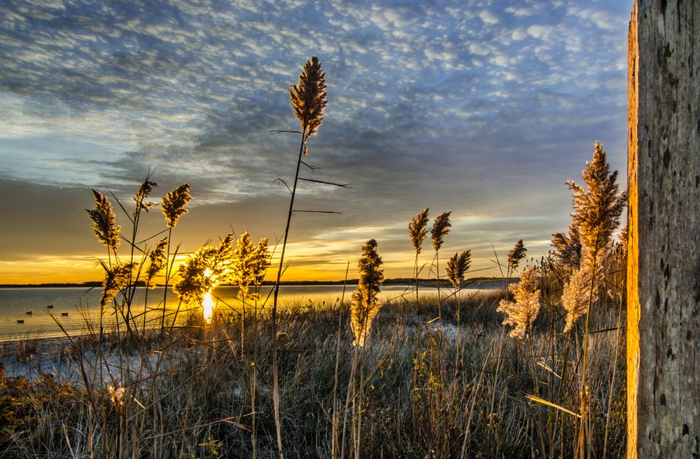 Hyannis, Hyannisport, West Hyannisport