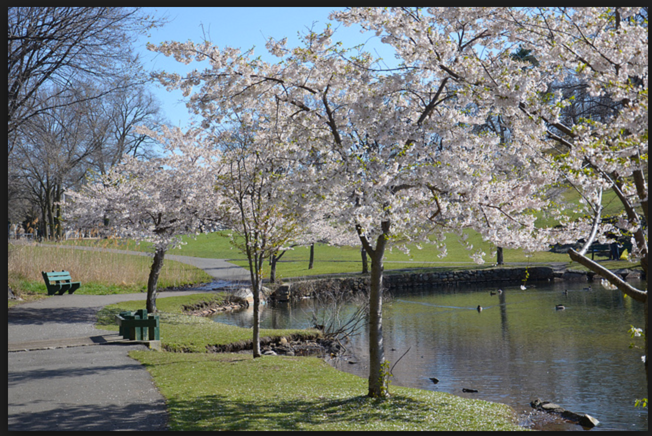 Malden, MA