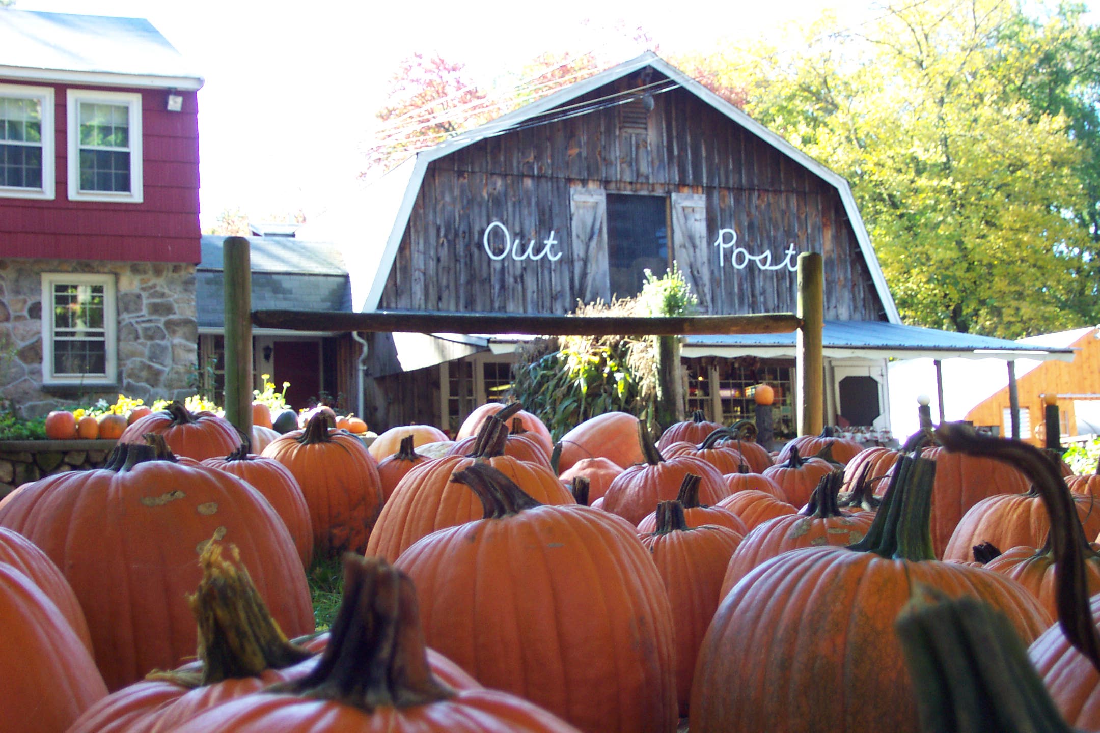 Holliston, MA