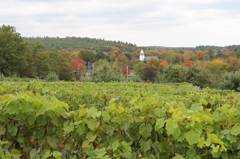 Bolton, MA