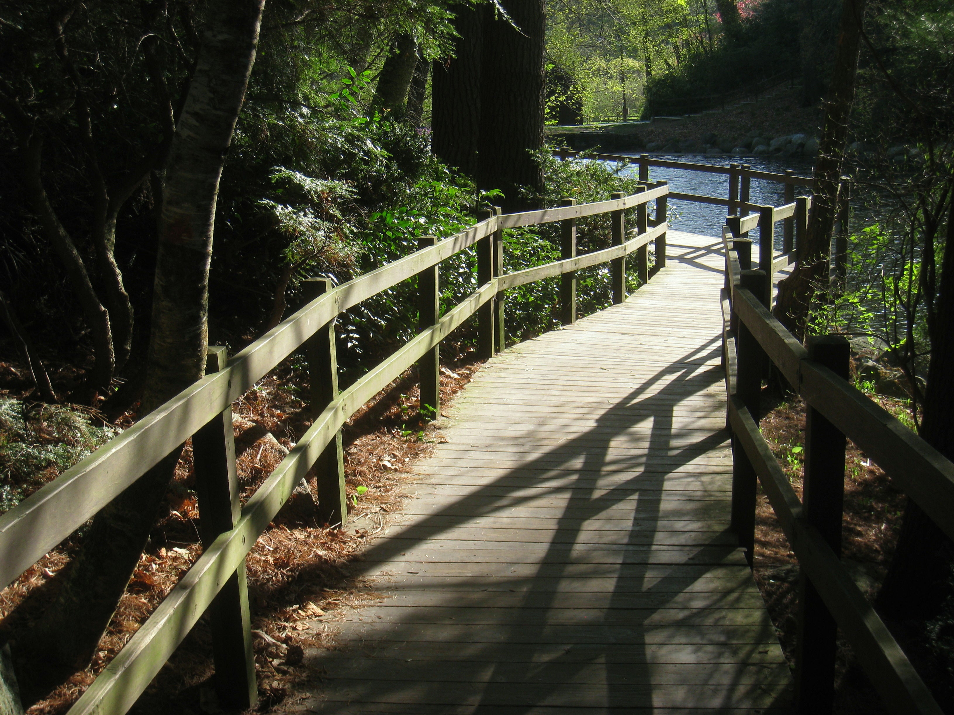 Westfield, MA