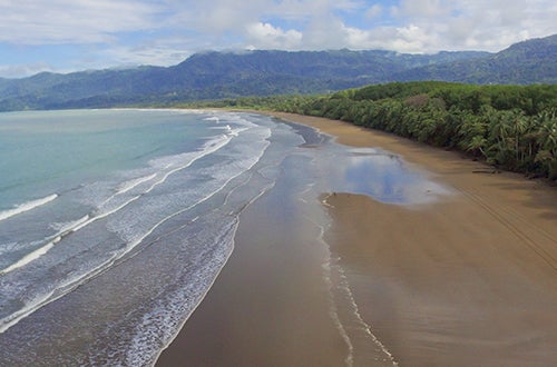 Dominical