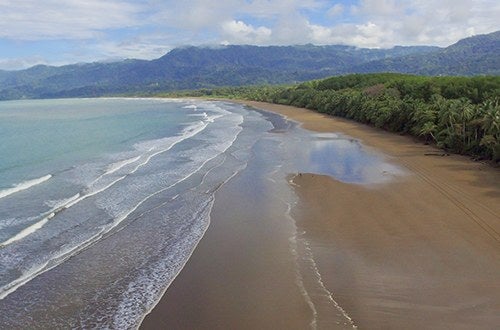 Dominical