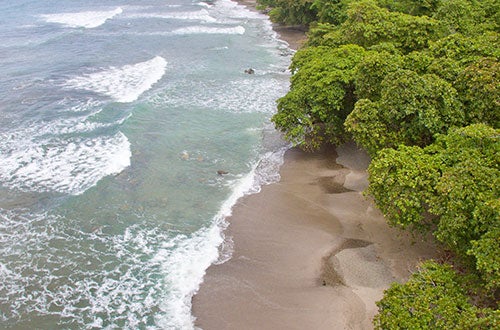 Uvita