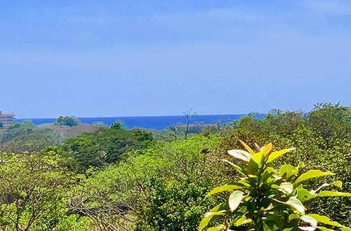 Alta Vista