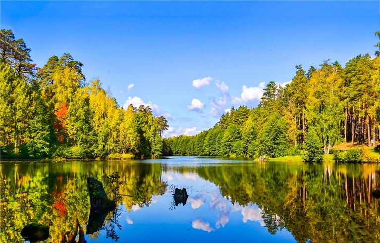 featured area for Norfolk County