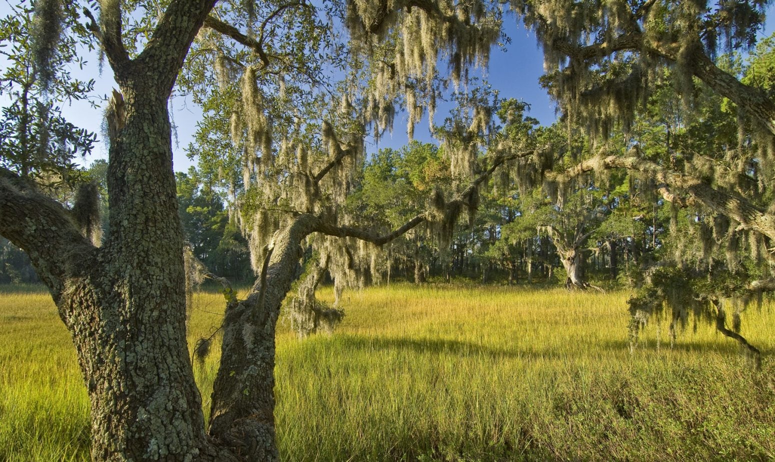 West Ashley
