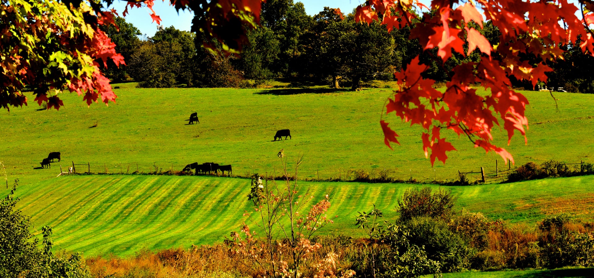 Dunstable, MA