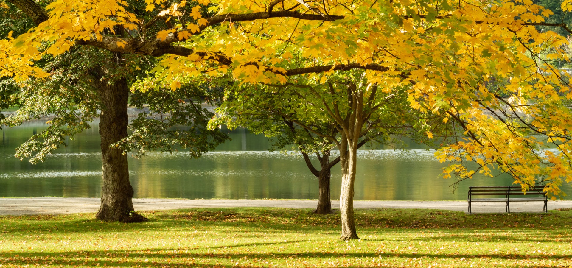 Brookline, MA