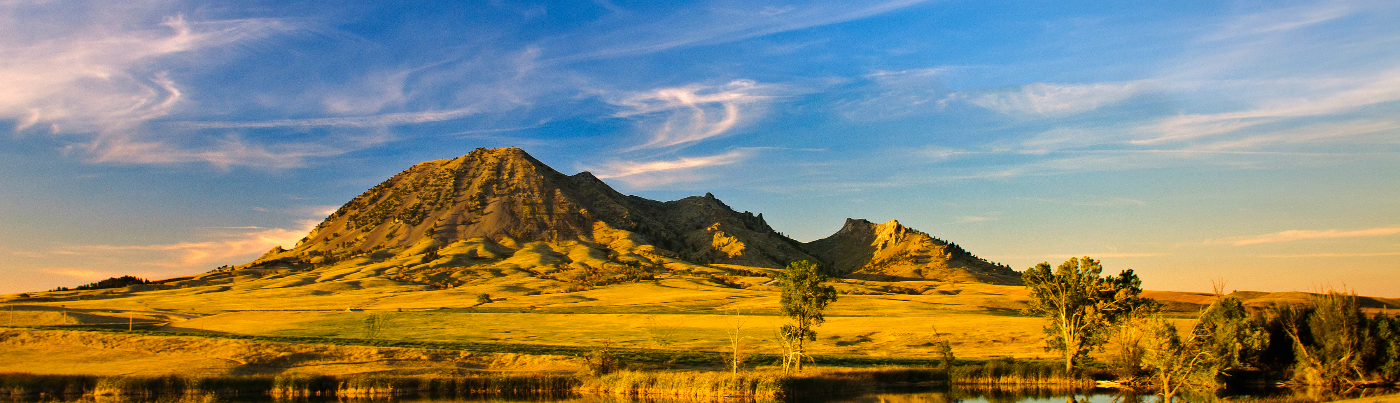 Sturgis