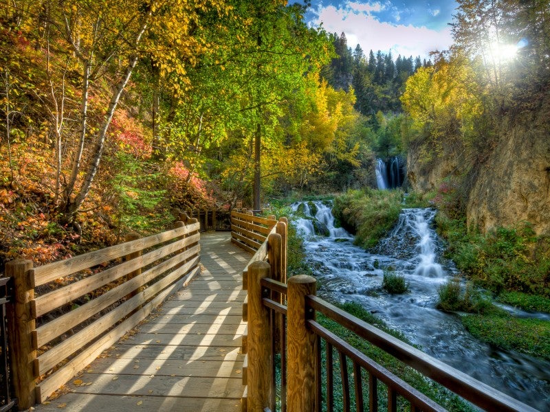 Spearfish