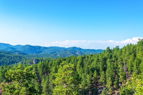 featured area for Black Hills