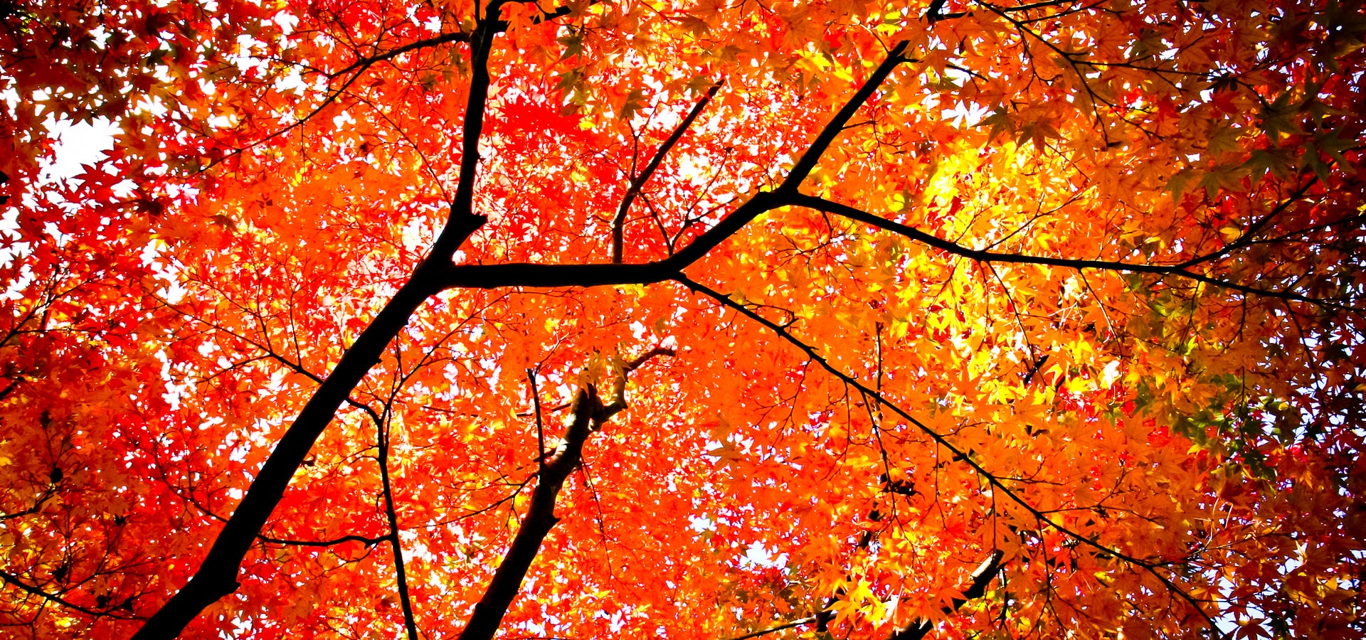 Mendon, MA