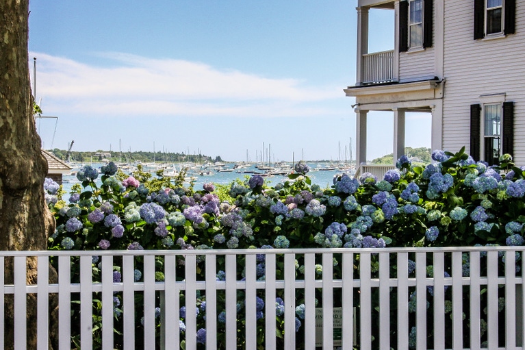 featured area for Edgartown