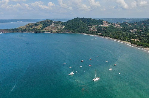 Papagayo
