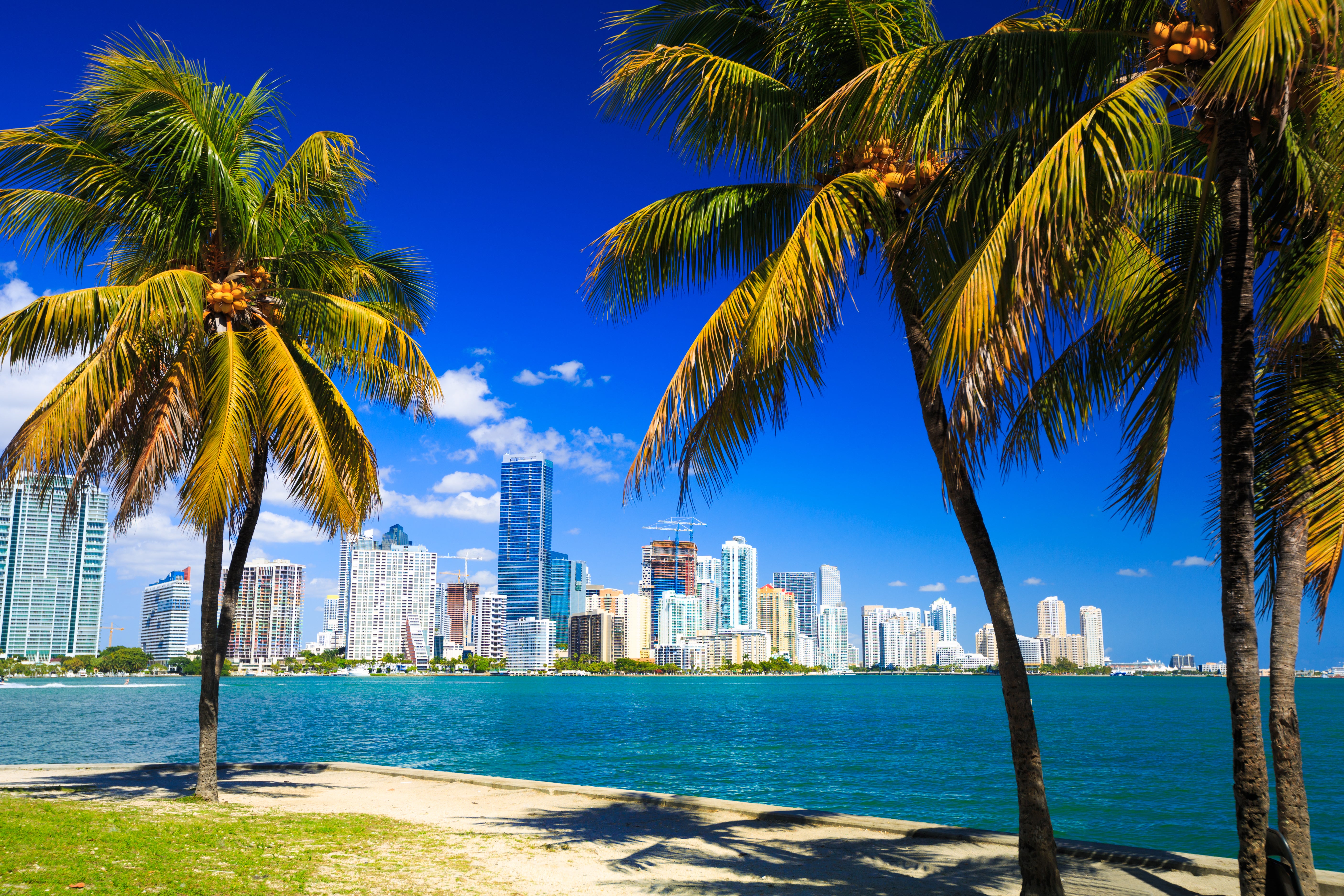 Miami Beach