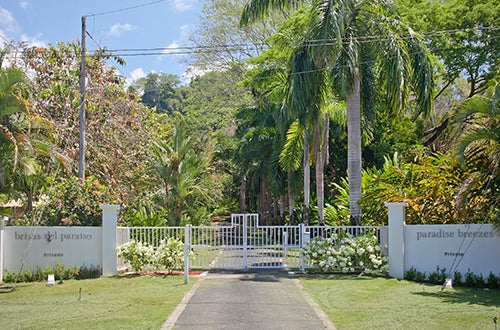 Paradise Breezes