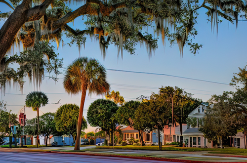 The Valdes Team