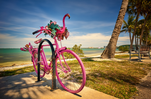 Manatee County is a vibrant Gulf Coast destination offering beautiful beaches, waterfront living, outdoor recreation, and easy access to Bradenton, Anna Maria Island, and Longboat Key.