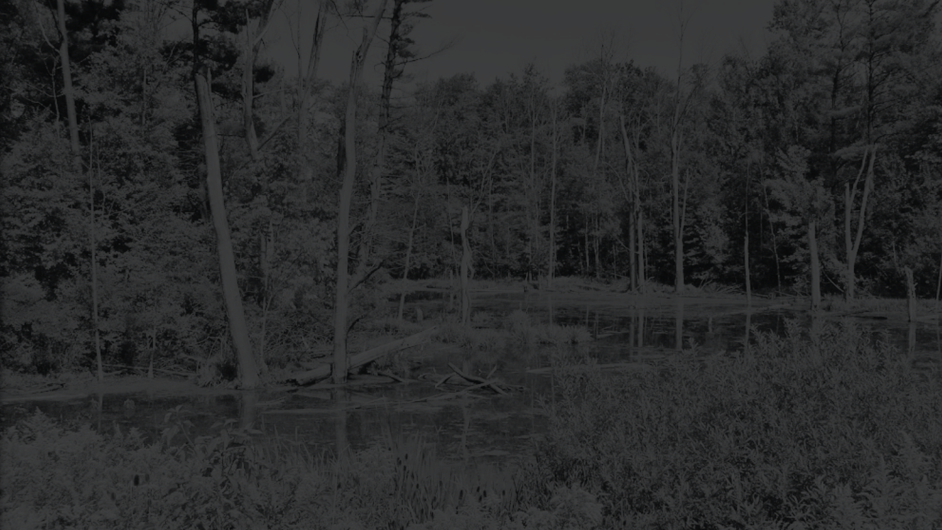 Laurentian West