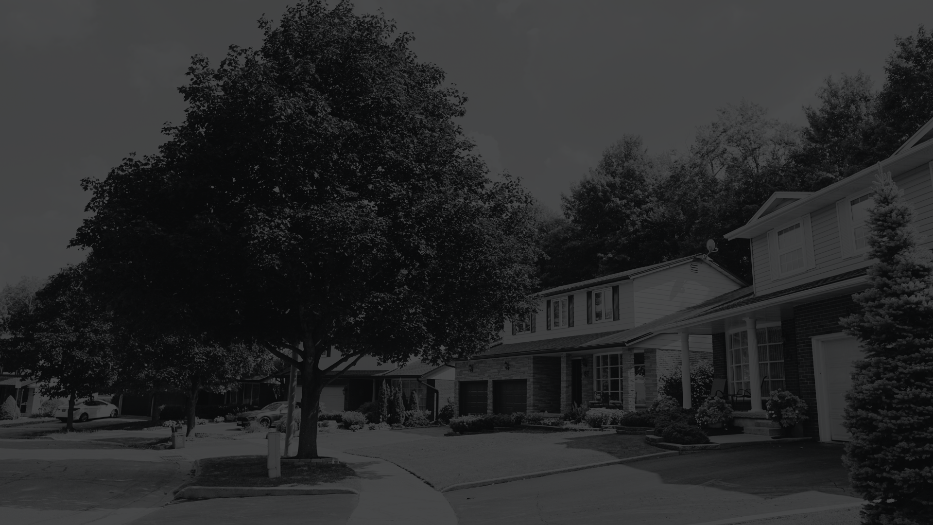  Forest Heights