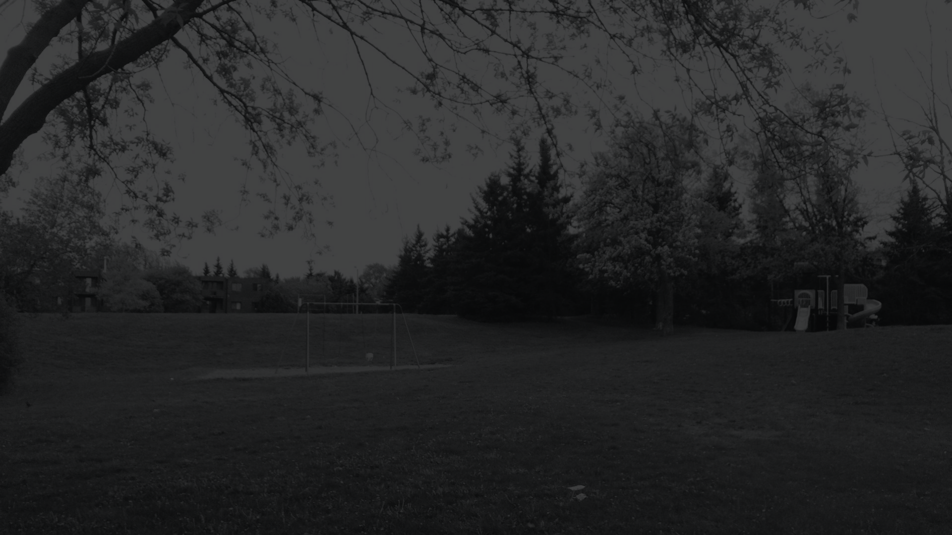 Forest Hill