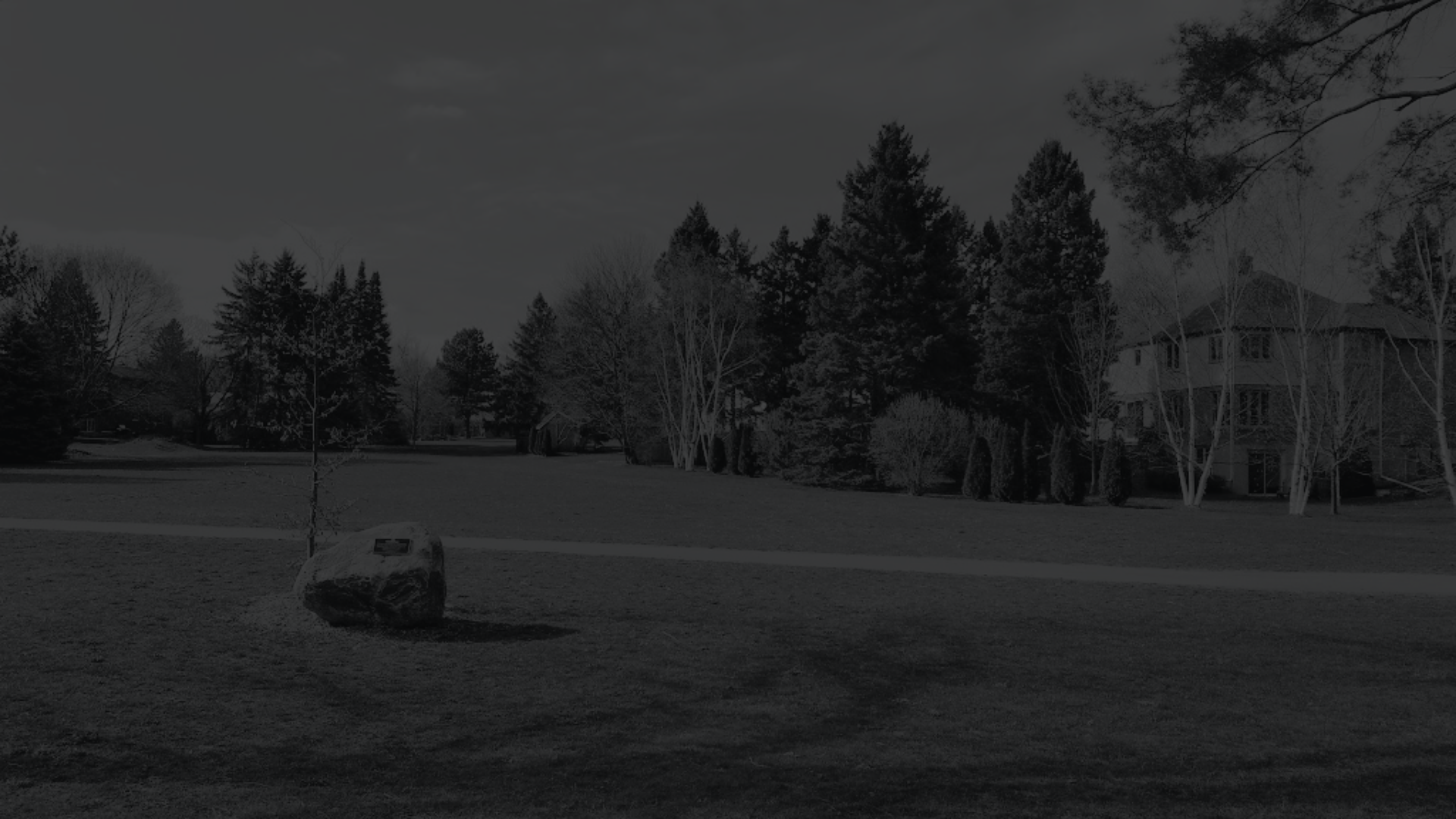 Beechwood