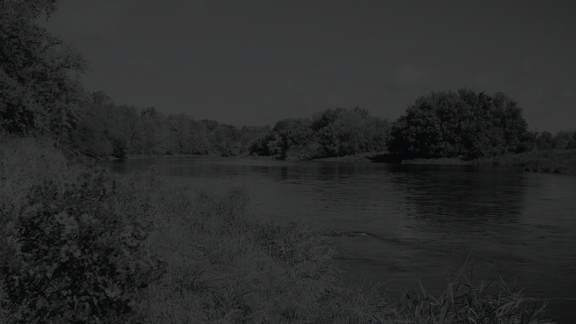 Lexington