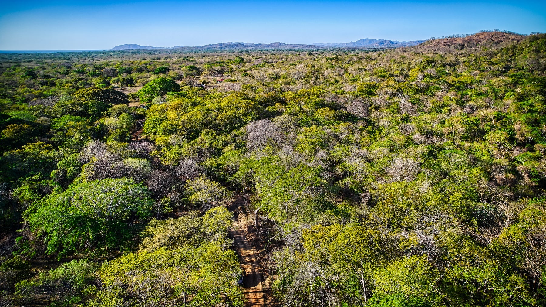 Pochote Hills