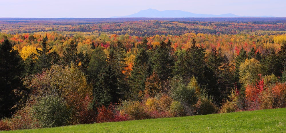 Sweden, ME