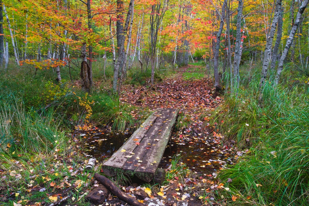Woodstock, ME