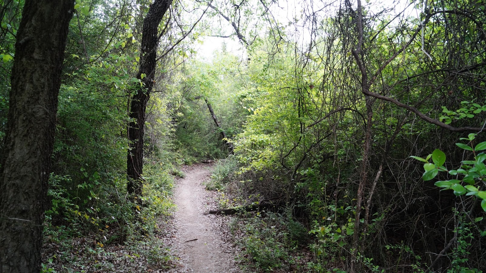 Sansom Park