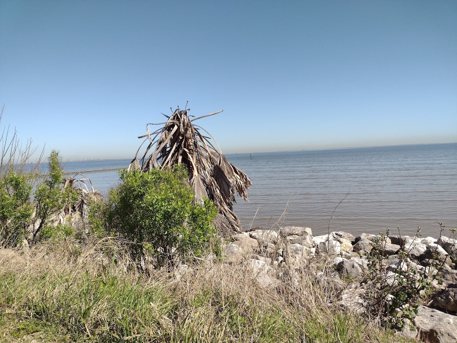 Bacliff
