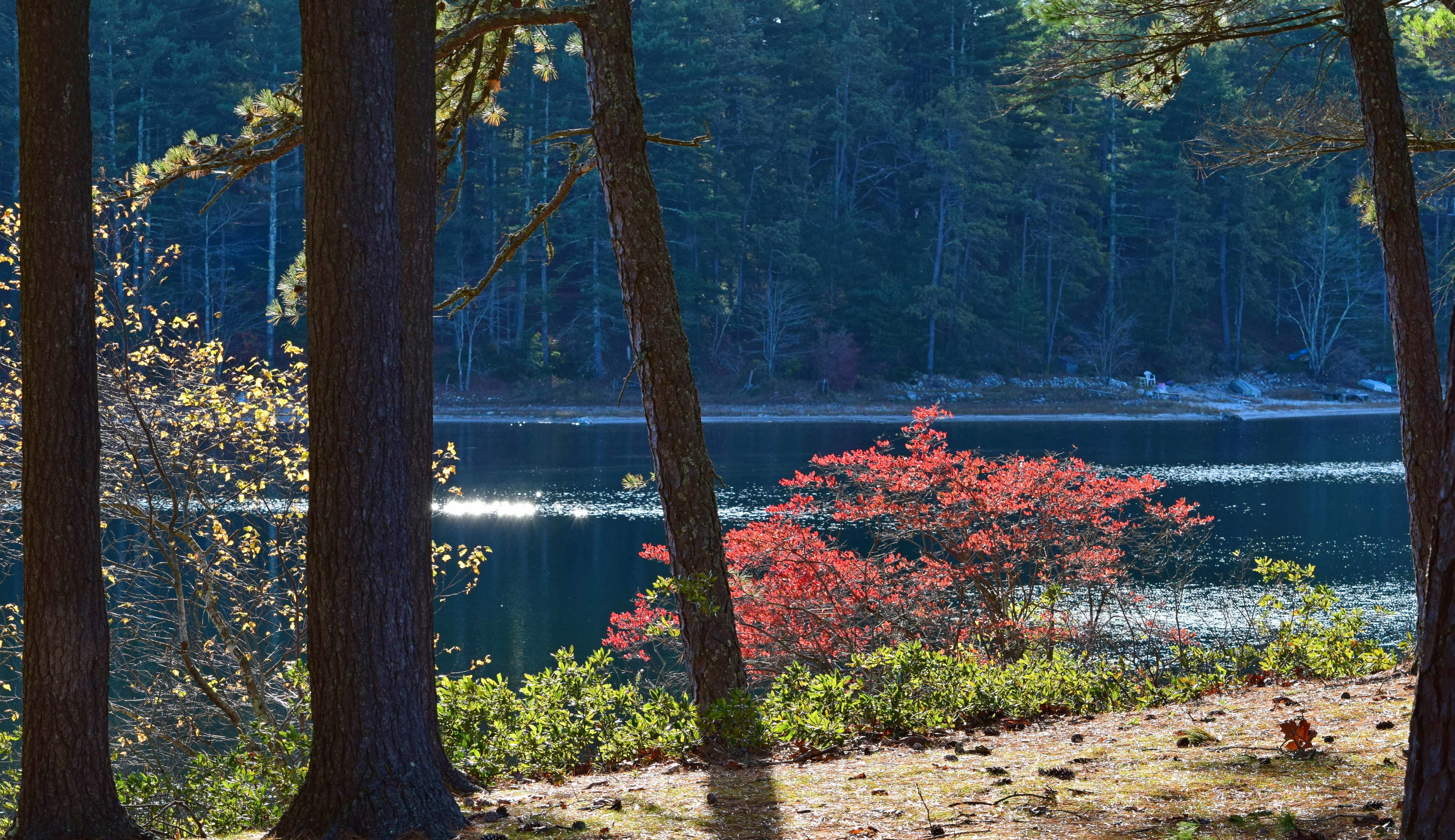 Abington, MA
