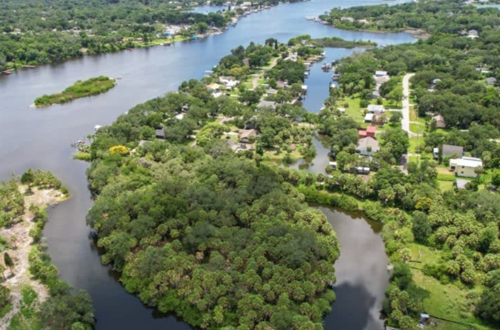 Scenic view of Riverview, Florida, with lush greenery and residential areas