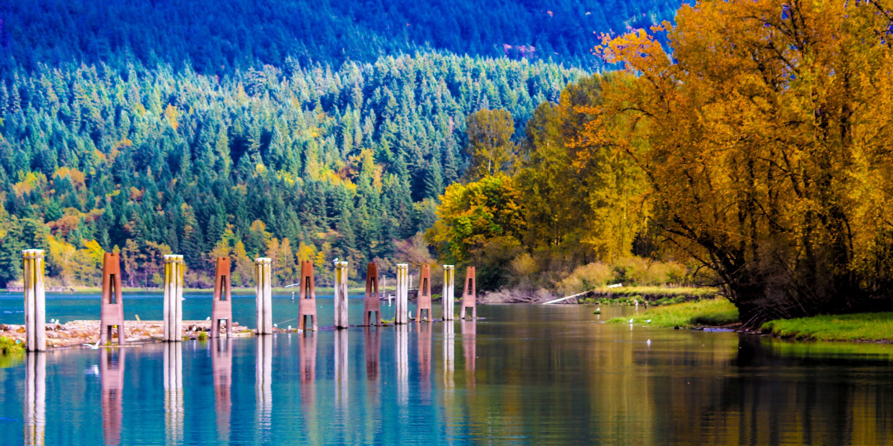 Harrison Mills
