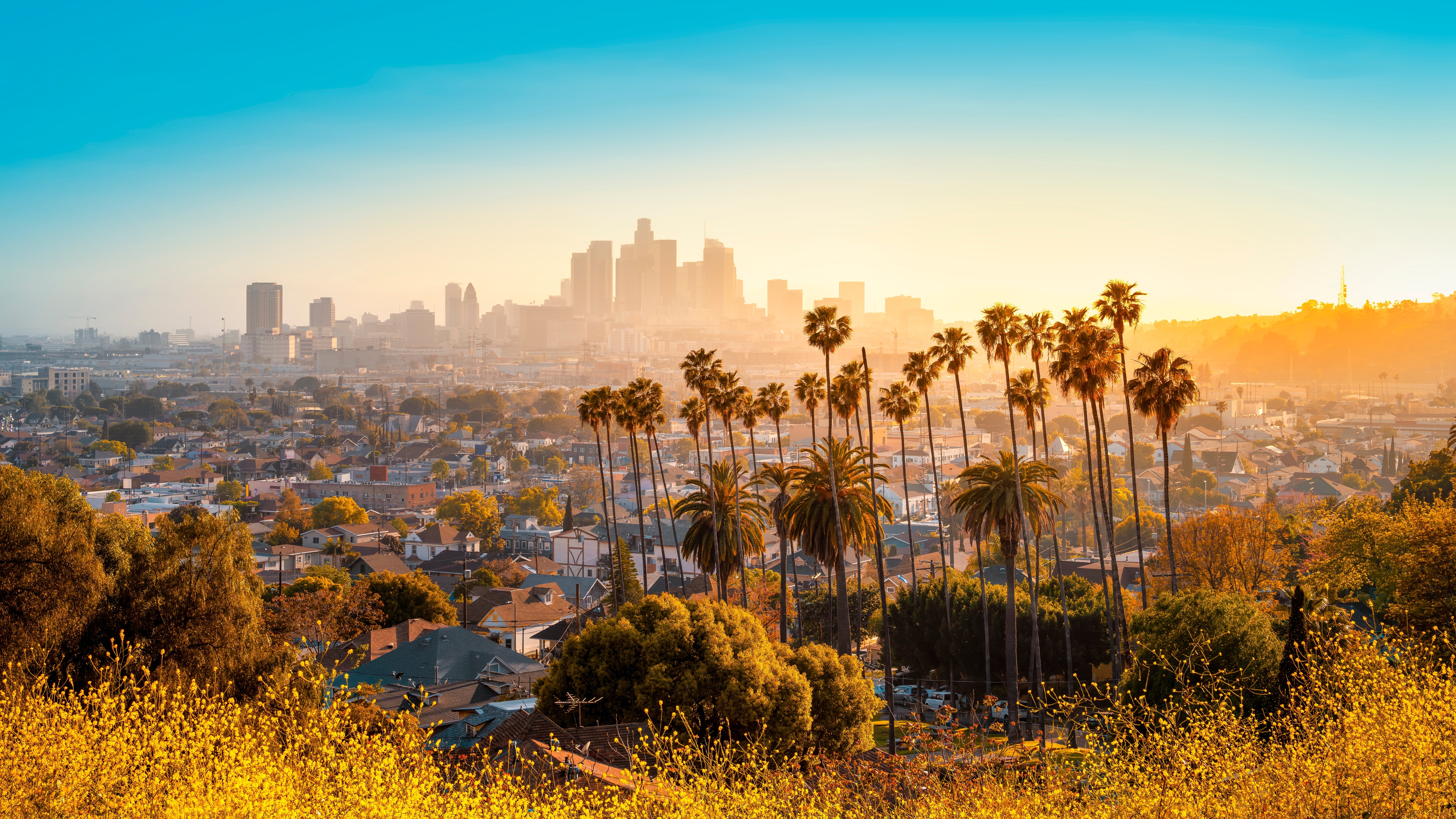 Los Angeles, CA 