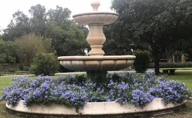 Olmos Park