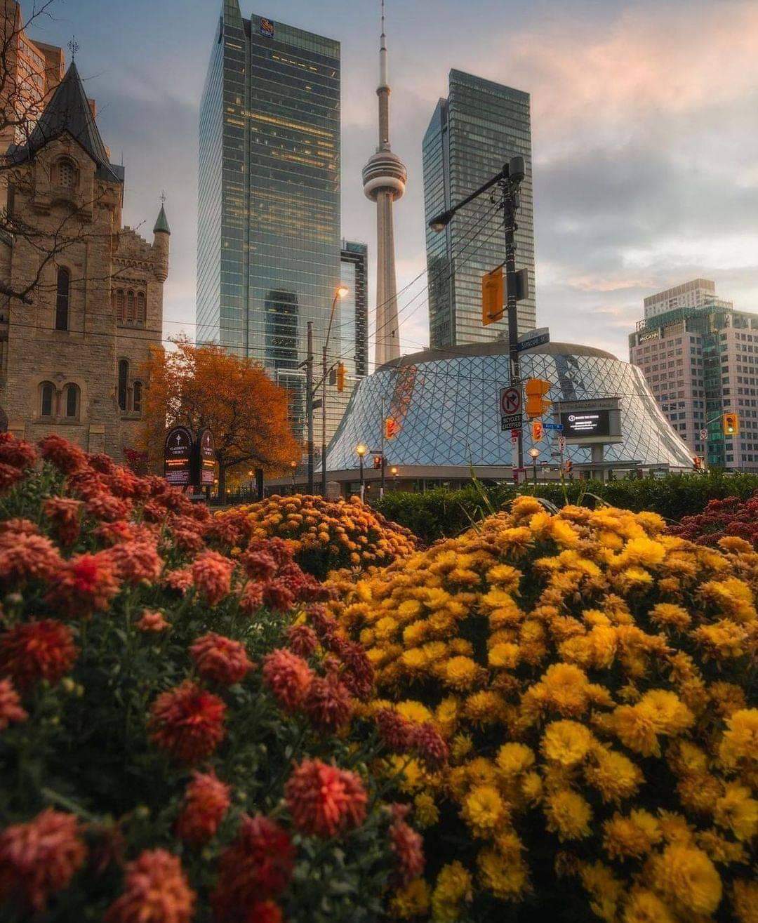 Toronto