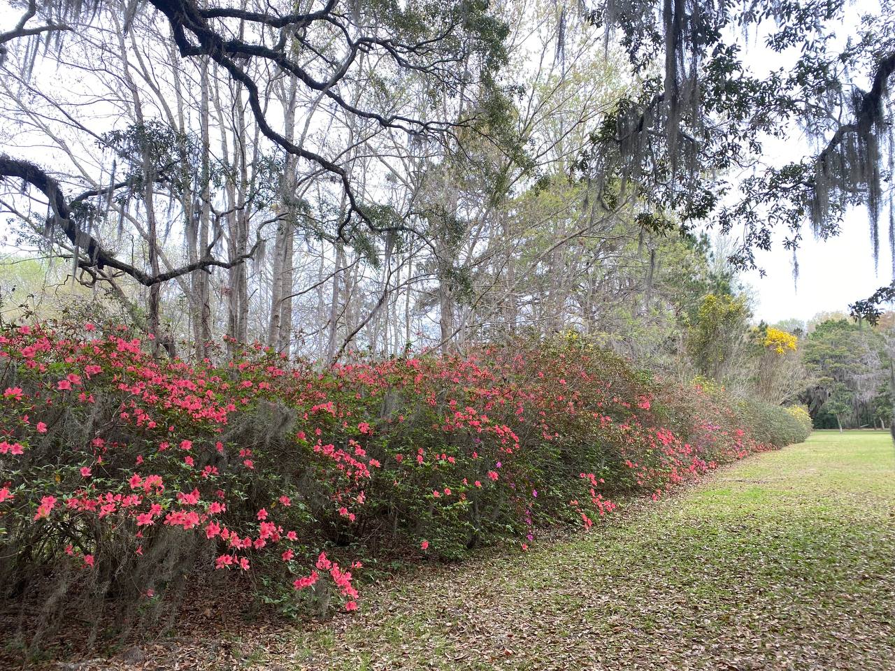 Lincoln County, NC