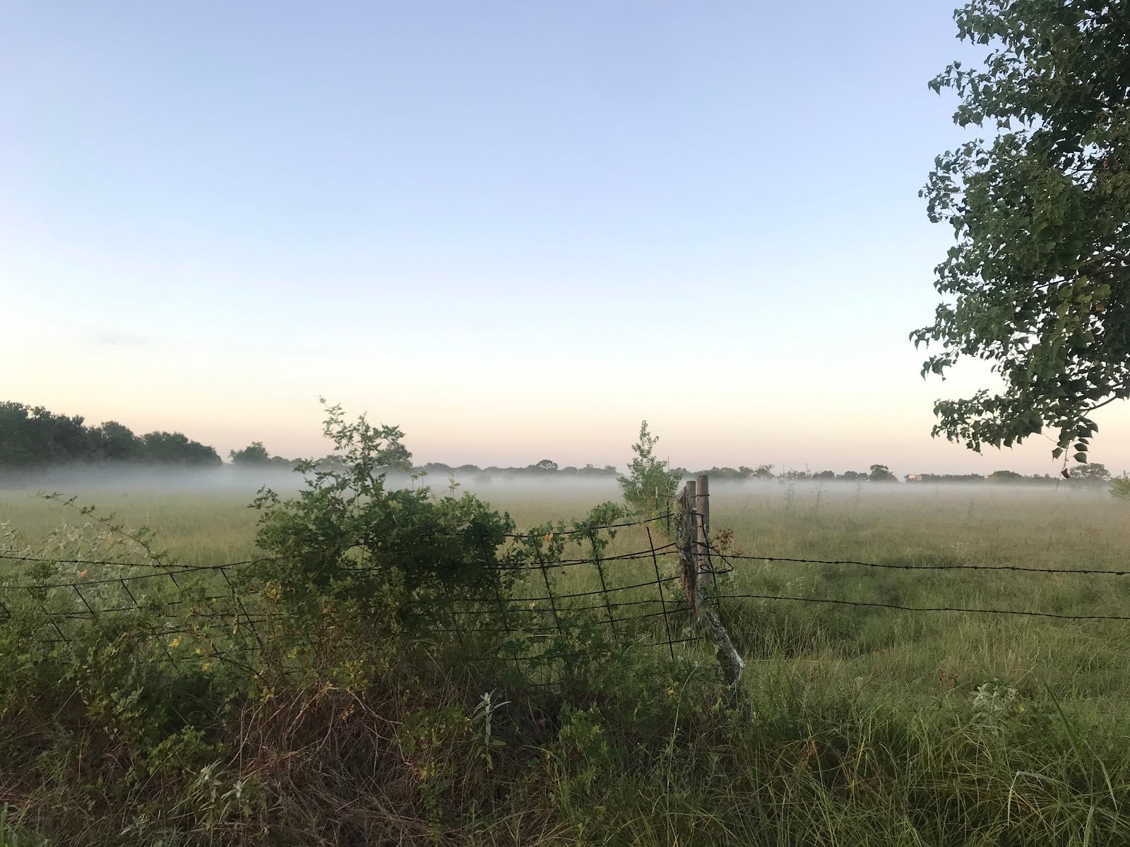 Waller County
