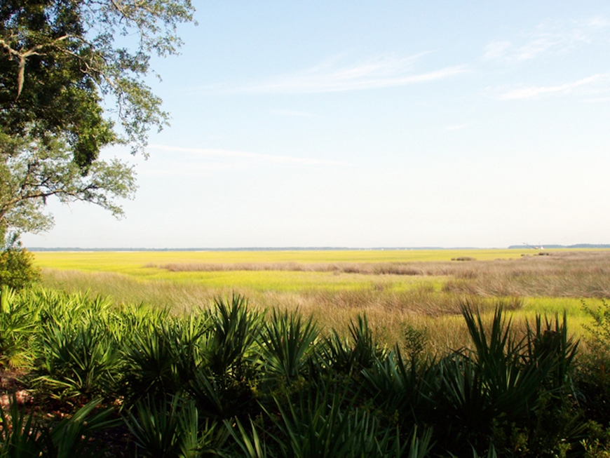 1 and 2 bedroom Marsh View Villas for sale Amelia Island Plantation