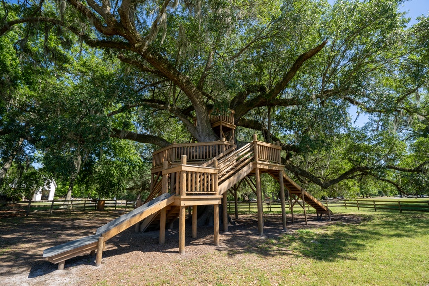 Area gallery image 3
