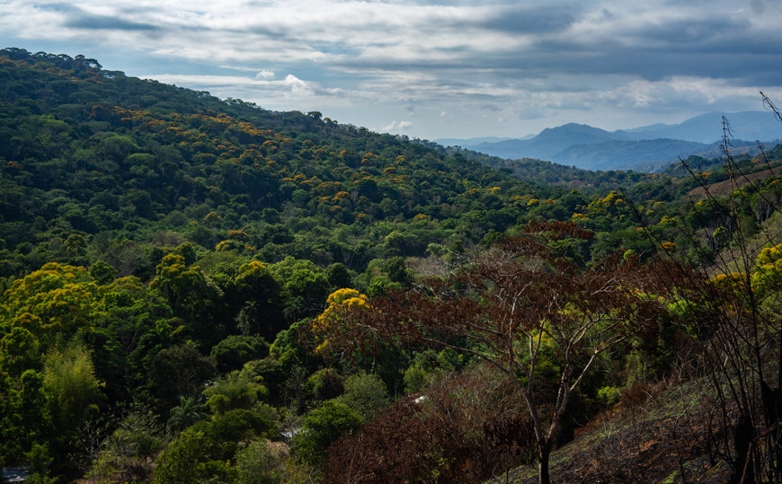 Tinamastes Real Estate | Tinamastes, Costa Rica